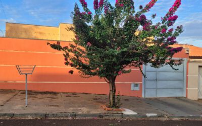 Imóvel a venda – Bairro Innocenti